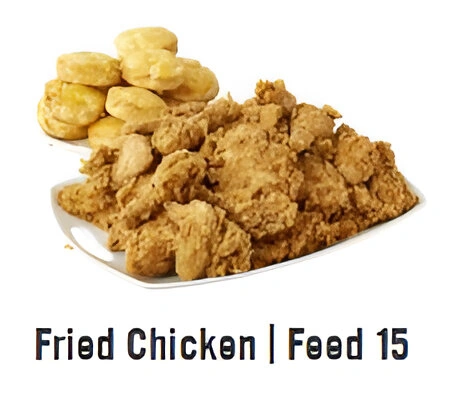 Fried Chicken | feed 15